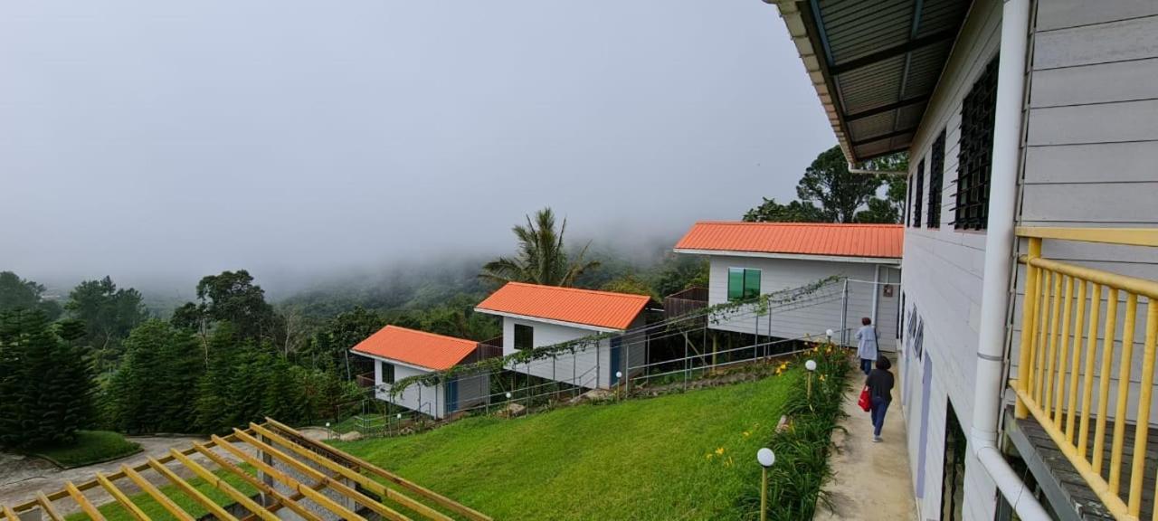 The Cloud Kinabalu- Chalet Ranau Exterior foto